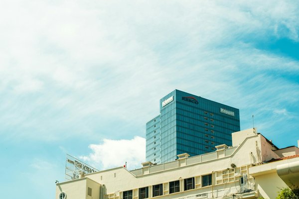 Collagène marin : l'allié naturel pour la santé de la peau et des articulations